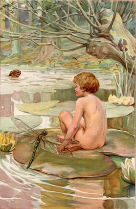 Item #1045 The Water Babies. A Fairy Tale for a Land Baby. Arthur DIXON, Charles KINGSLEY
