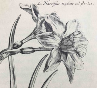 Hortus Floridus; The First Book, Contayninge a very lively and true Description of the Flowers of Springe.