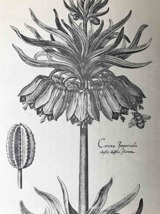 Hortus Floridus; The First Book, Contayninge a very lively and true Description of the Flowers of Springe.