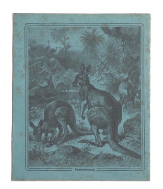Item #1655 Child’s exercise book with decorated Kangaroo covers. Friedrich SPECHT