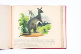 Item #1739 Bound volume of coloured separately-issued prints, including the Australian kangaroo...
