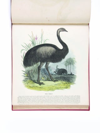 Bound volume of coloured separately-issued prints, including the Australian kangaroo and emu.