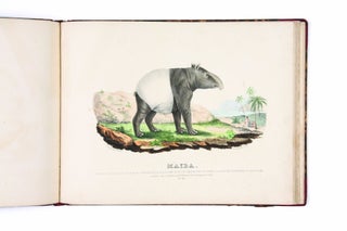 Collection d’Animaux. [Labelled:] Histoire naturelle… Ensemble de 41 planches dessinées par Guerin et Lith. en couleurs par E.F. Noel…