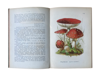 Item #1778 Allgemein Verbreitete Essbare und Schadliche Pilze. Prof von Ahles, Dr Wilhelm Elias