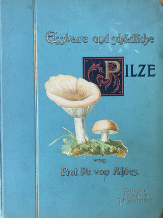 Allgemein Verbreitete Essbare und Schadliche Pilze