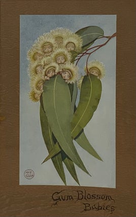 Item #1804 Gum Blossom Babies. May GIBBS
