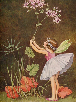 Item #519 A Bunch of Wild Flowers. Ida Rentoul OUTHWAITE