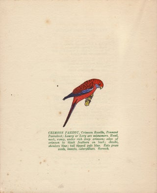 "Scratch Cocky". A Booklet of the Bright Birds of Our Bushland Pictured in Colour and Rhyme for the Children.